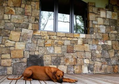 stone veneer with puppy